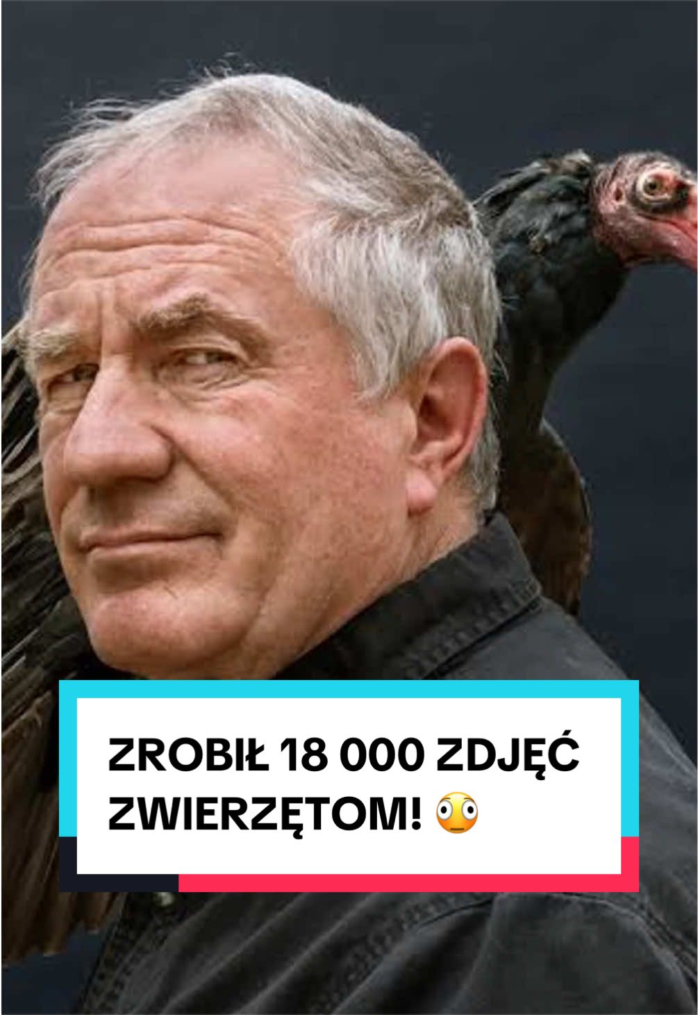 @pandawojtekyt