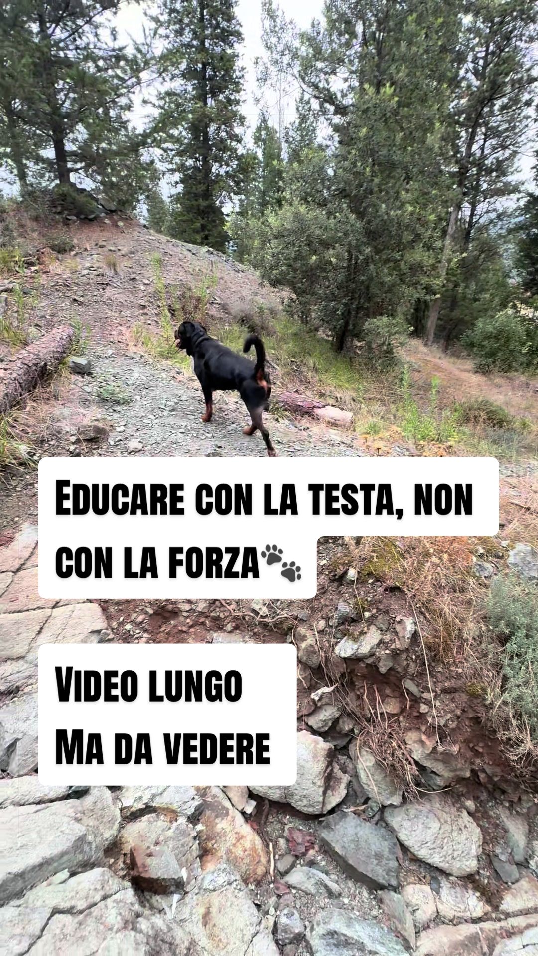 @Le avventure di Thor 🌪️ w ❤️