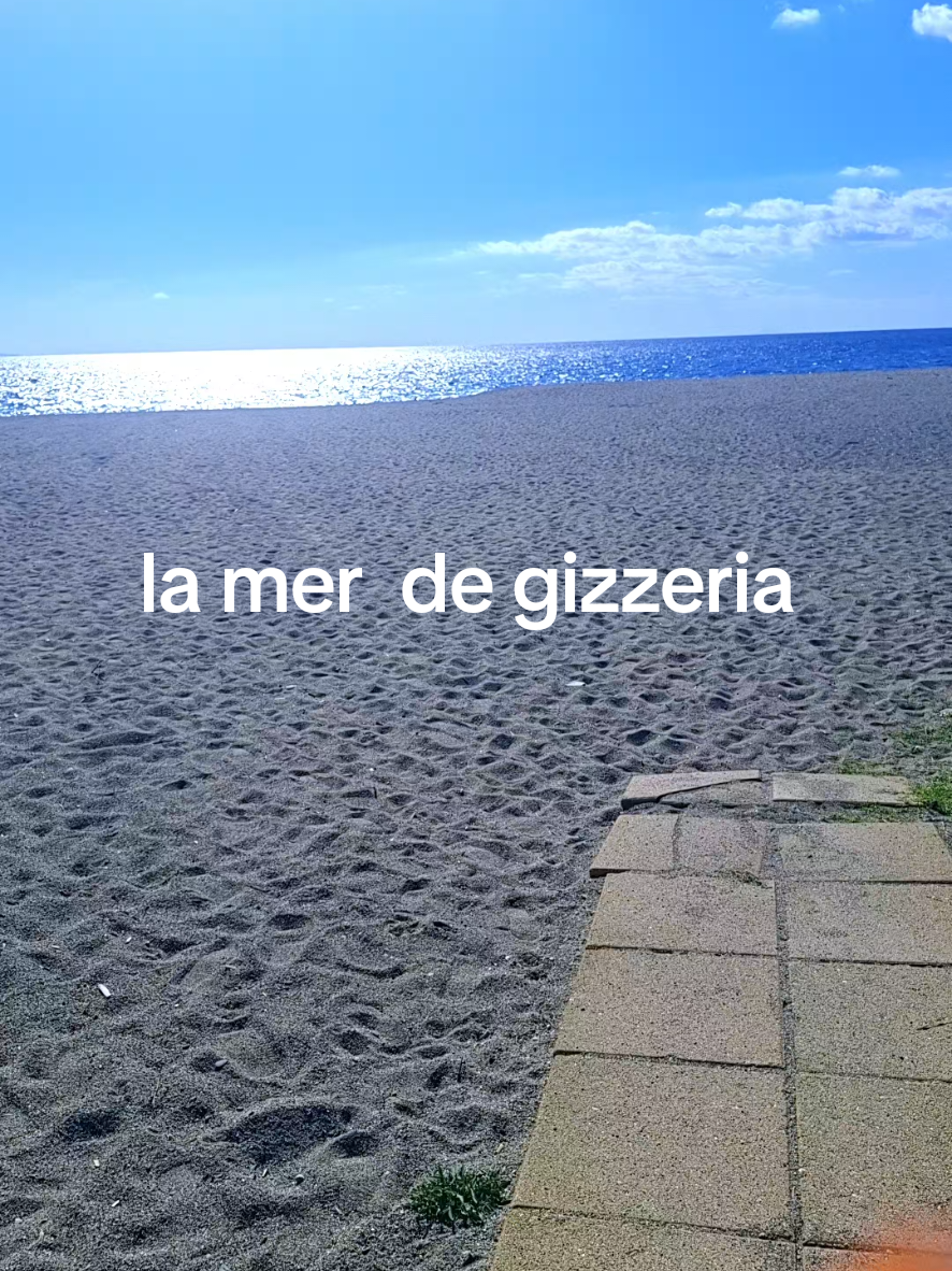 @falerna