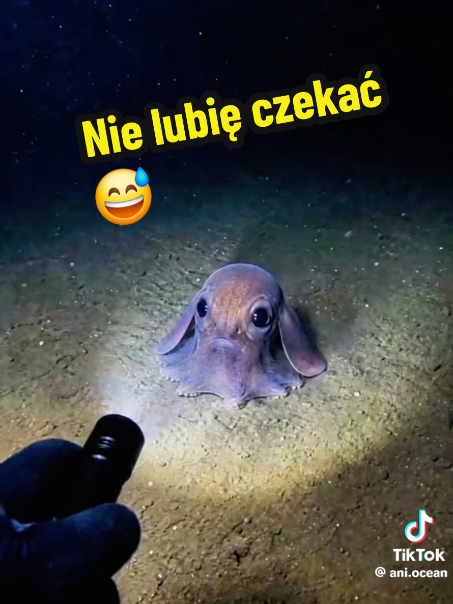 @Ania z Bieszczadzkiej Hecy🧀