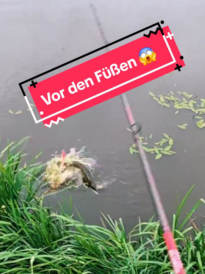 @Iron Claw_Fishing