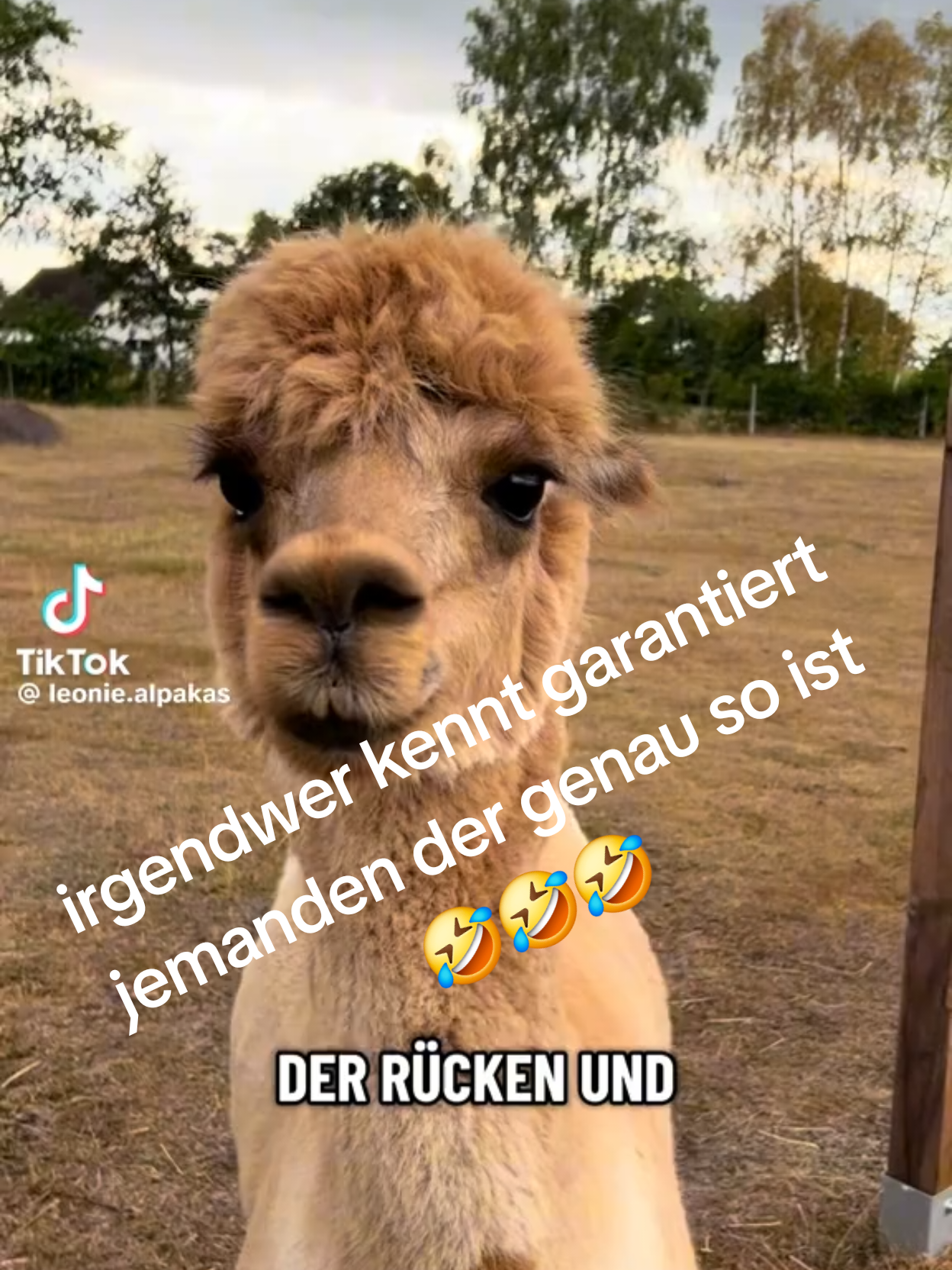 @🌴S☀️nne🌴Freeezy’s Beschützer