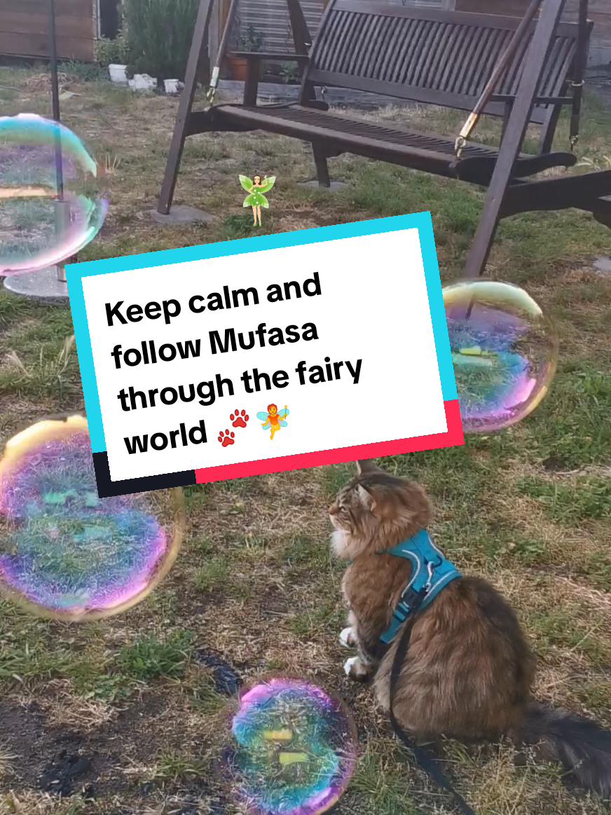 @animalslover