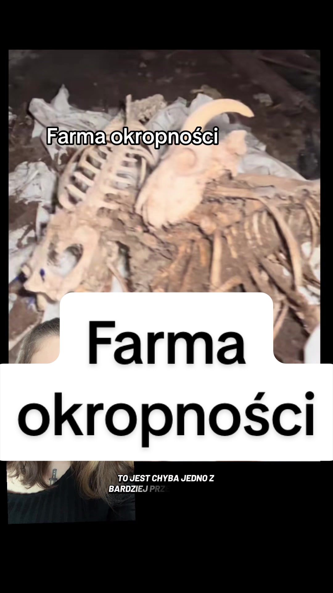 @Kamila Morzy