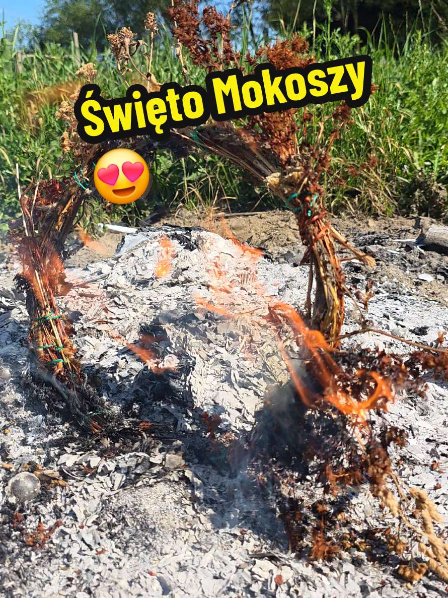 @Ania z Bieszczadzkiej Hecy🧀