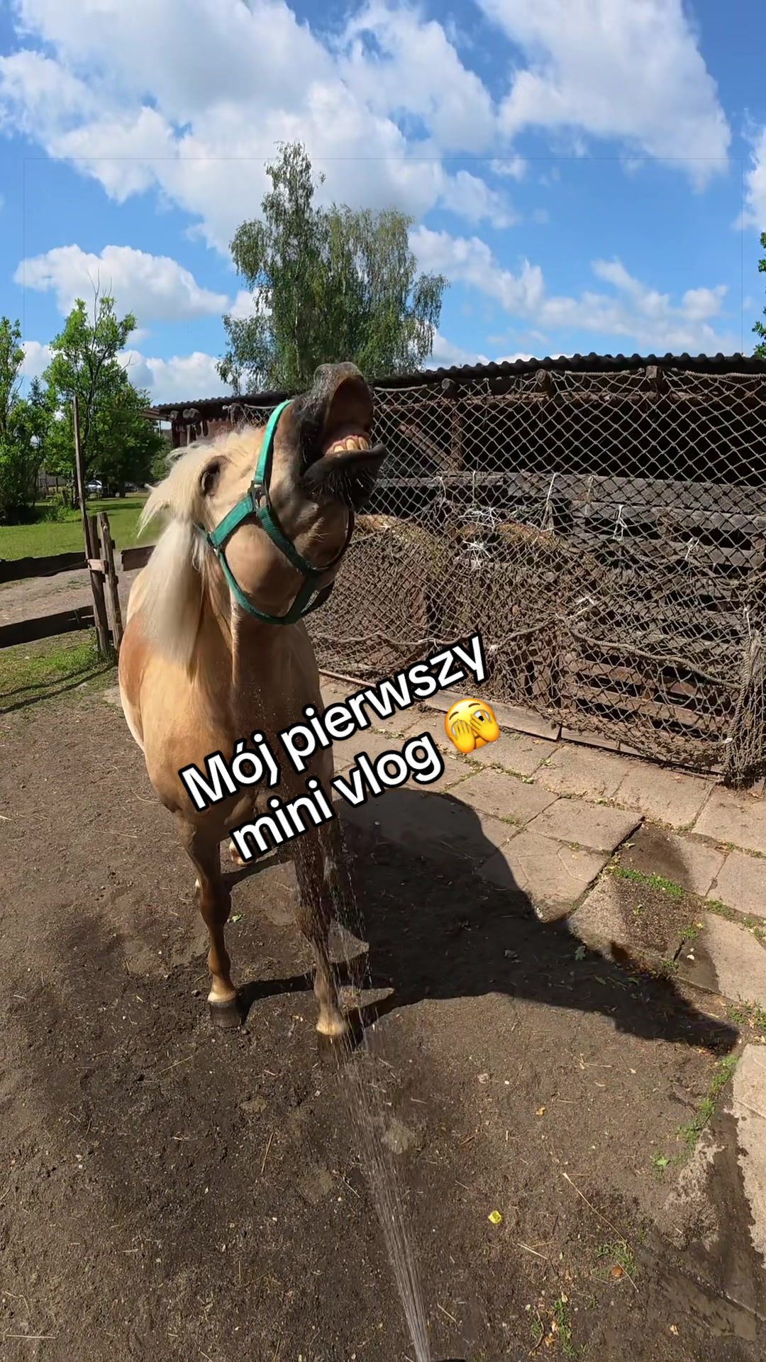 @KᗩᗰIᒪᗩ ᗰᗩᒍEᗯSKᗩ ✓ᗩᑌTOᖇKᗩ