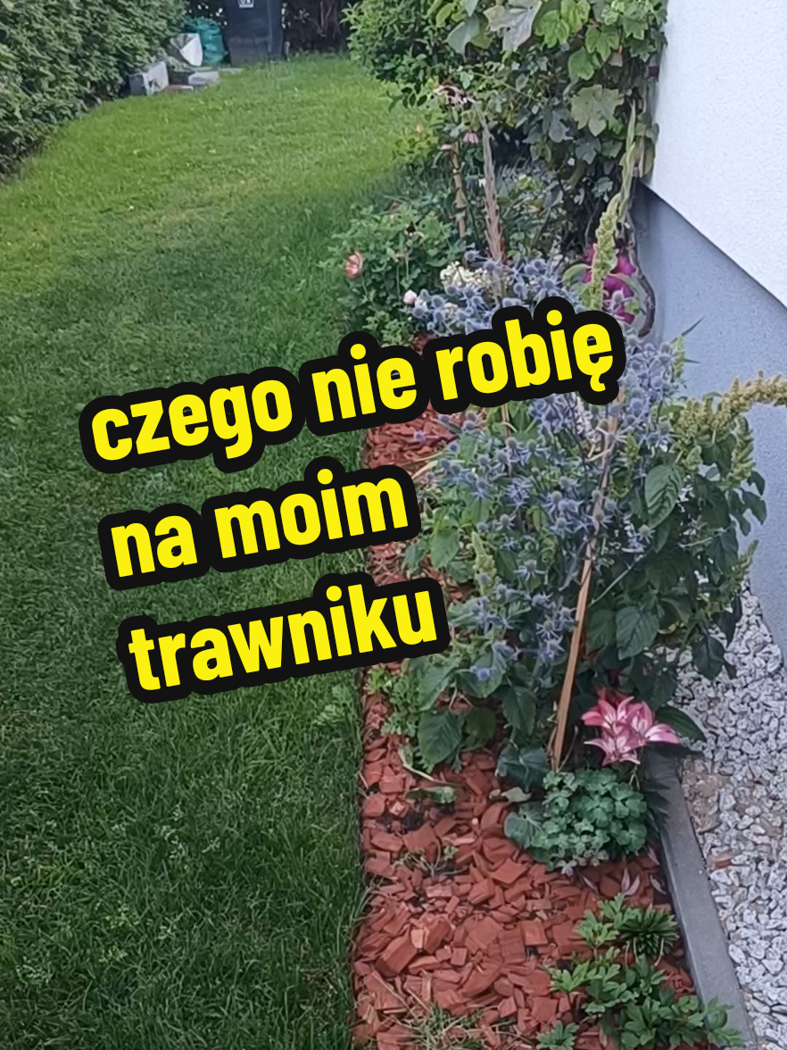 @Marcin ogrodnik