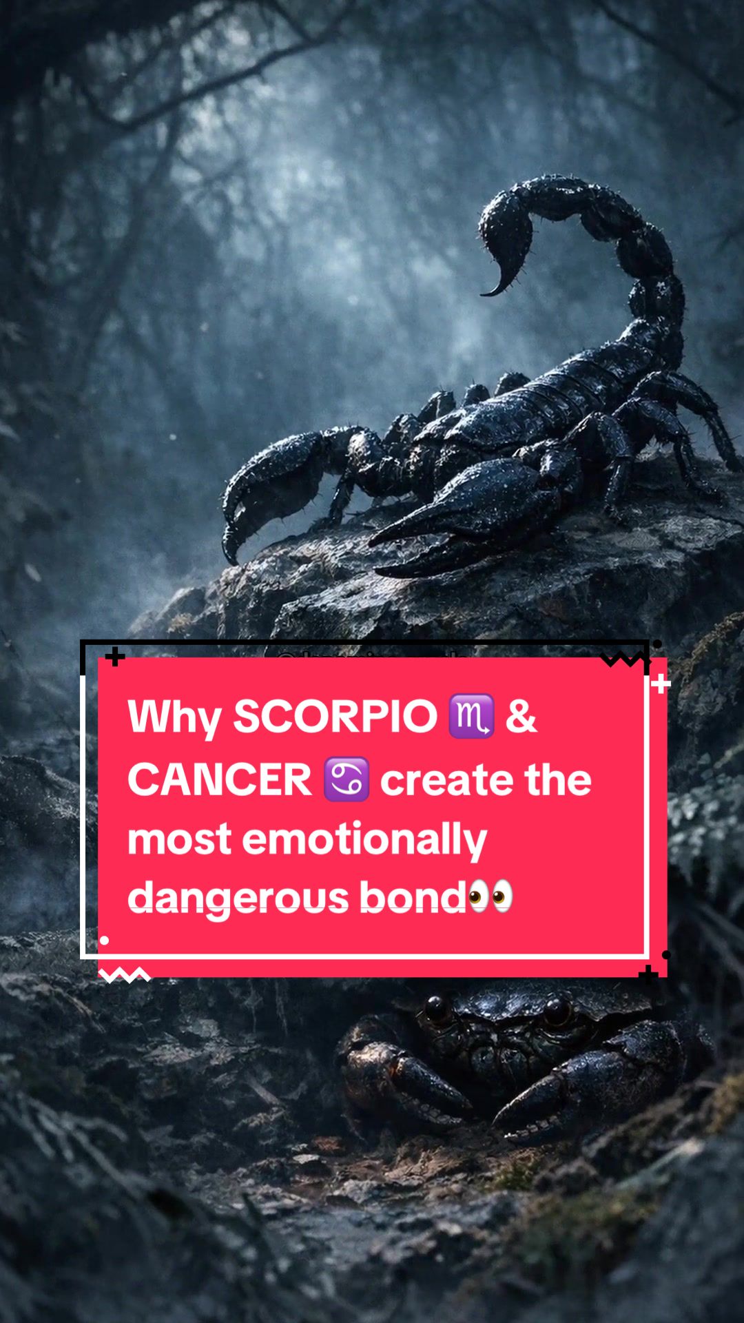 @dopamine.oracle