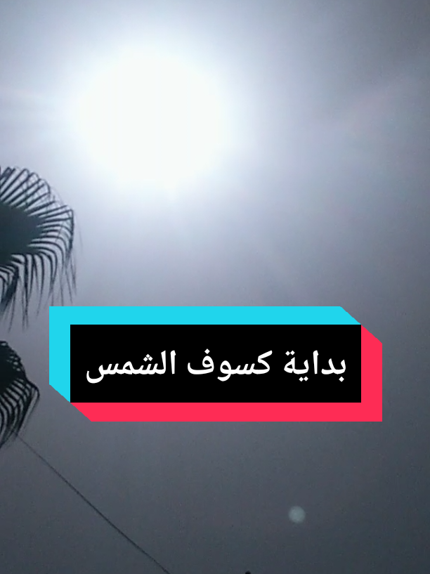 @Free Minds | العقول المتحررة💡
