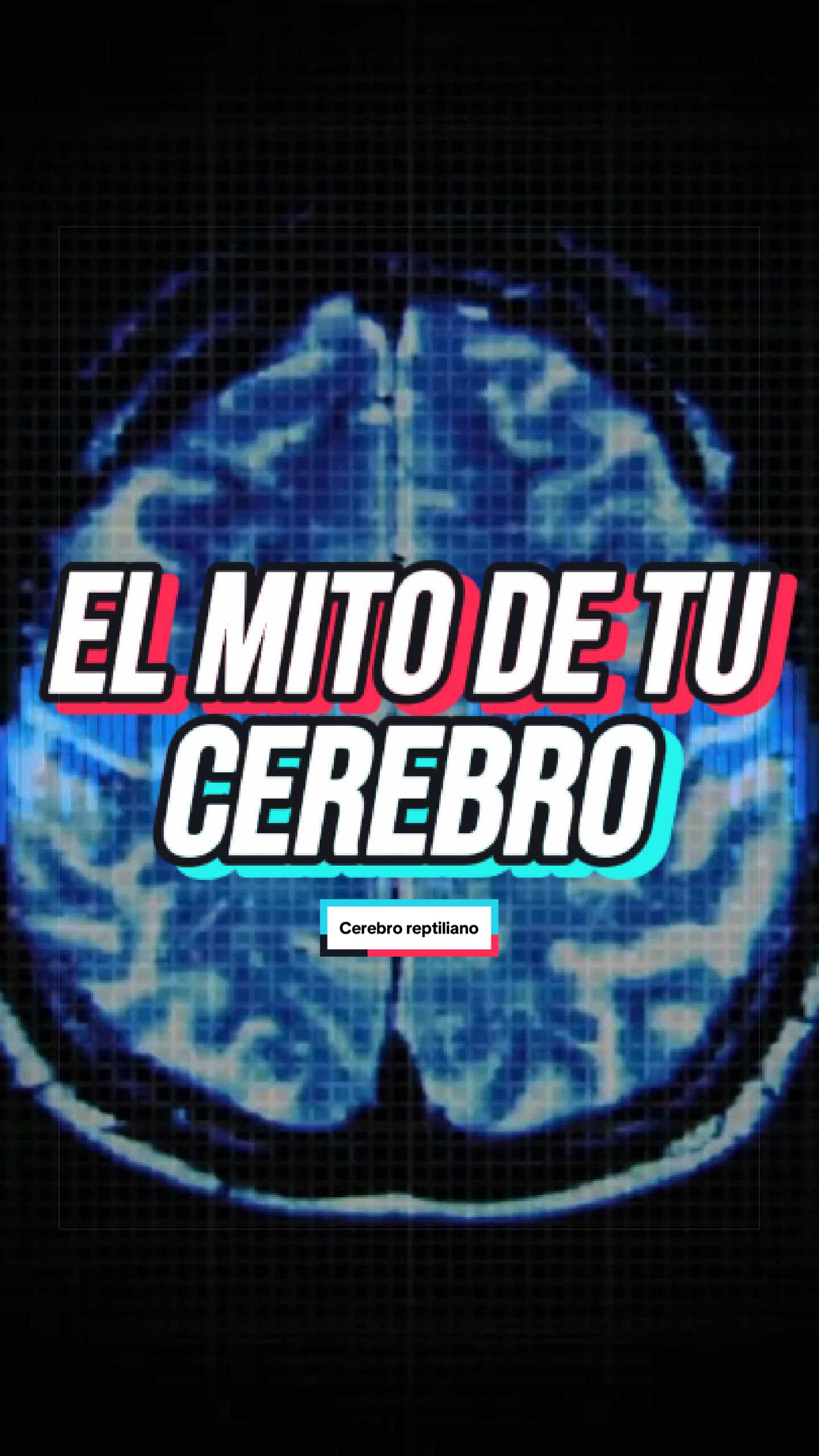 @AXT