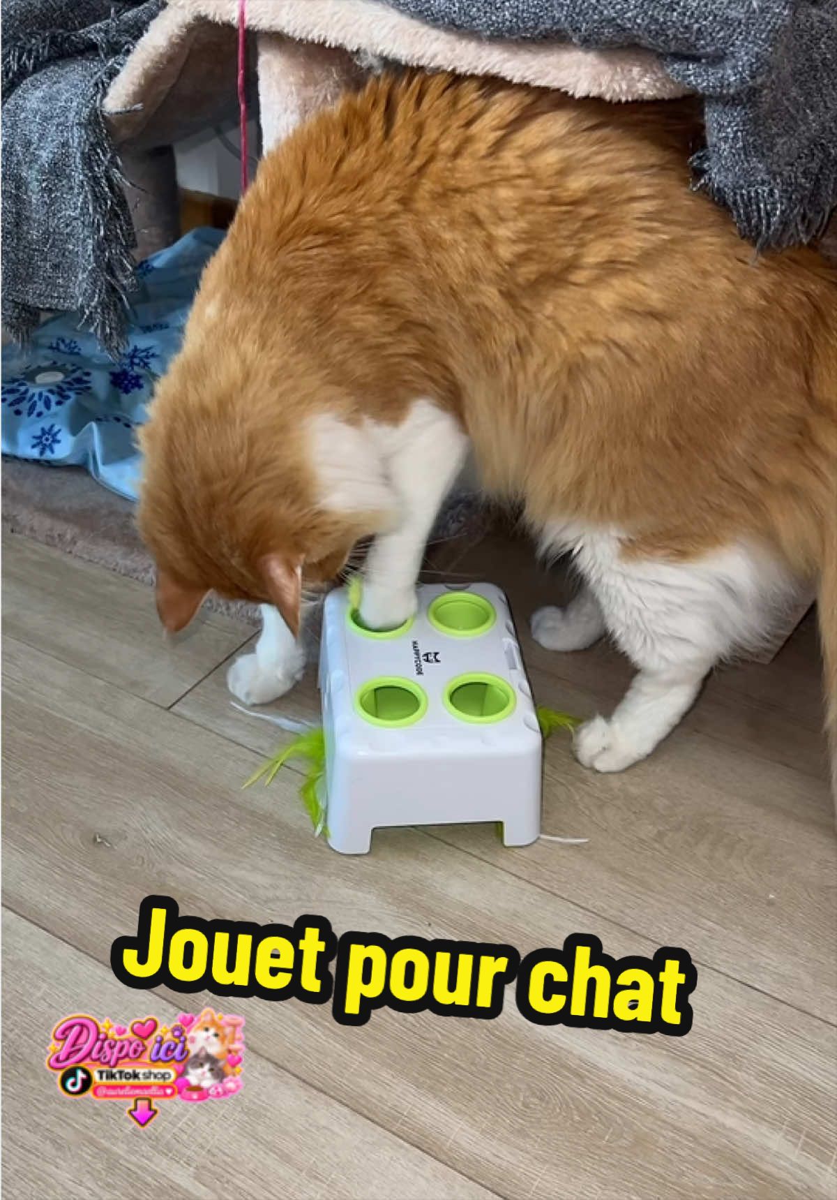 @Aurélie et Maellia