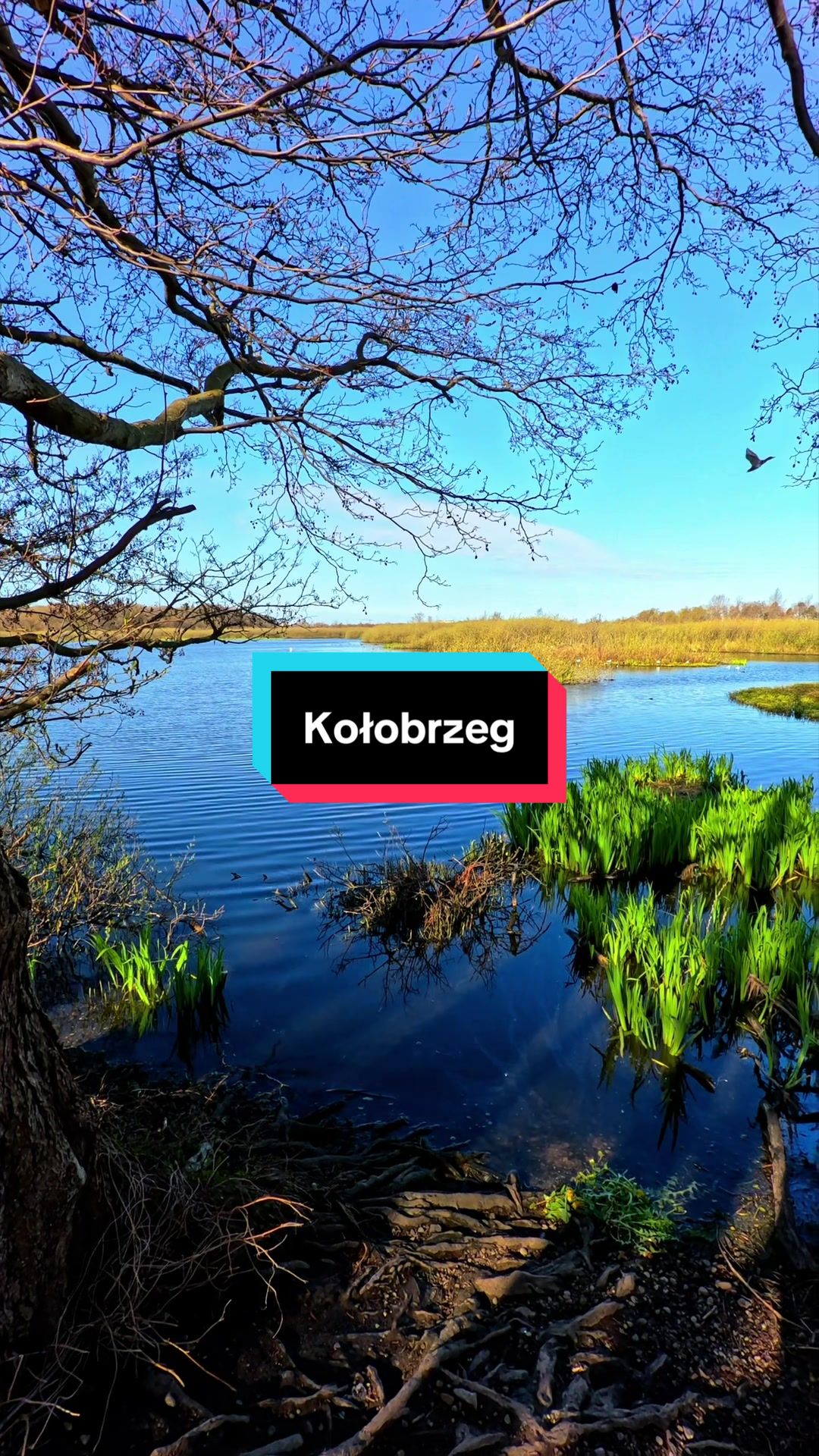 @KolobrzegWobiektywie