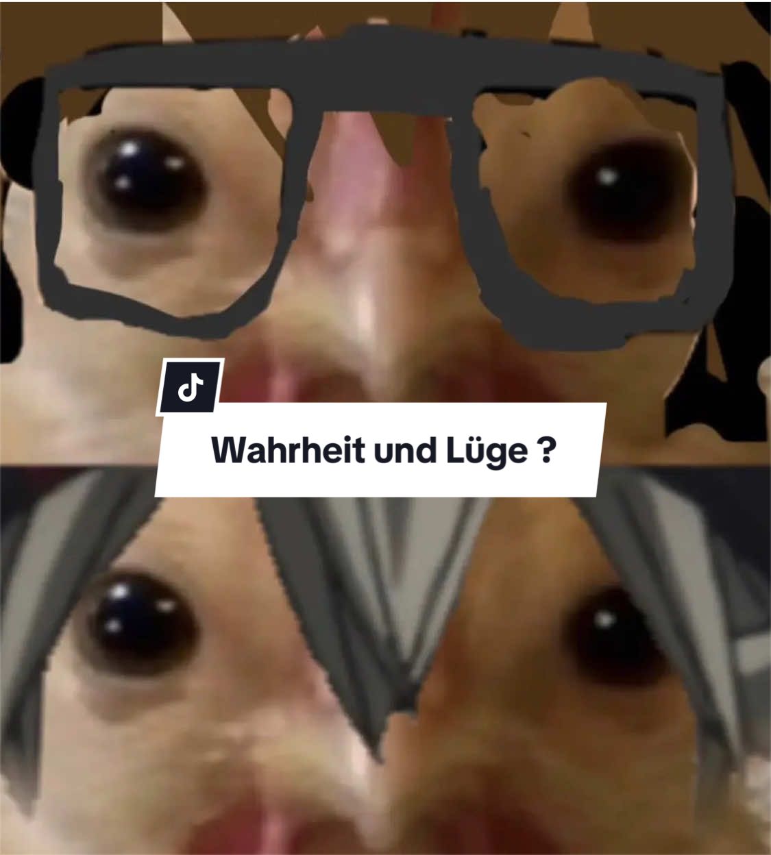 @D&Lambda;NN&Xi;X