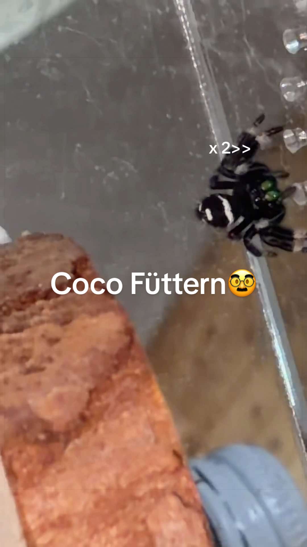 @Michelleeee