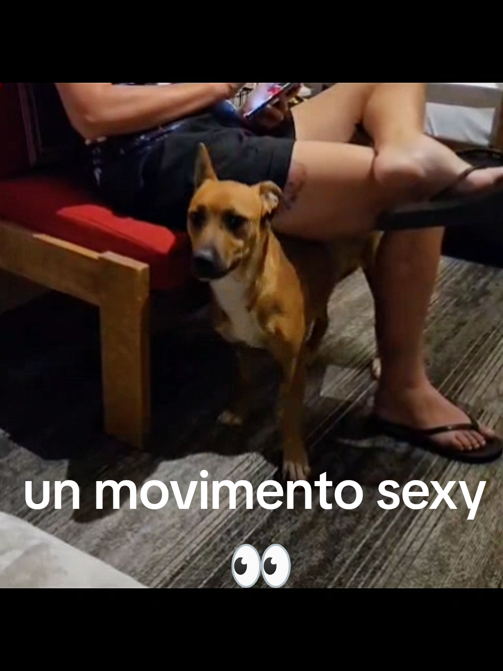@Morgane Camilla