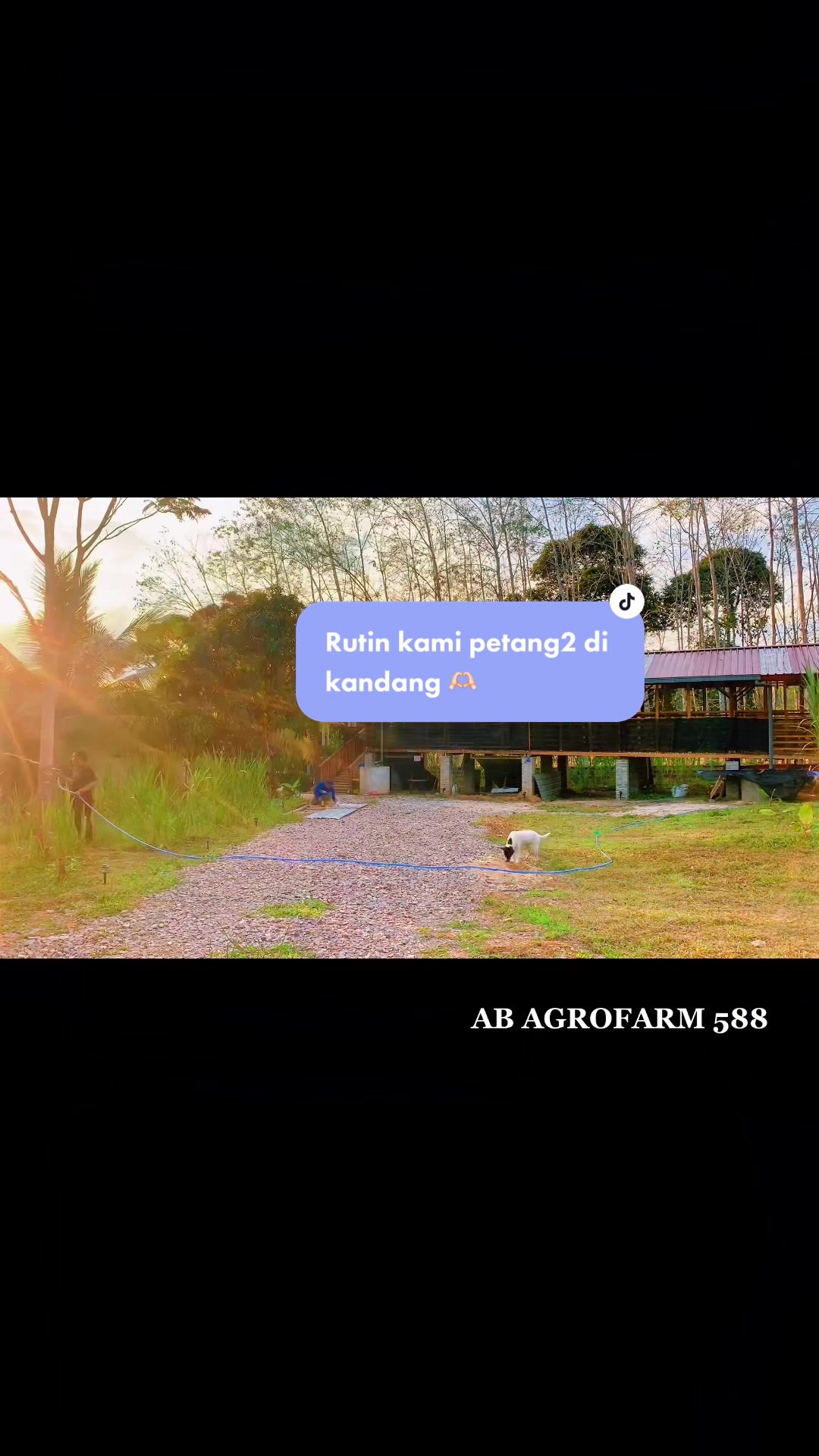 @AB Agrofarm 588