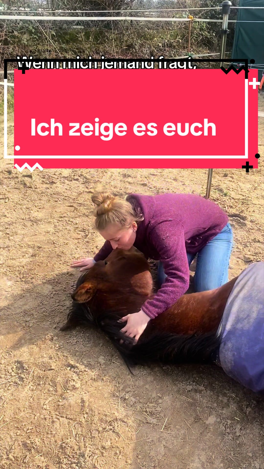 @Sarah Netzel🦄✨