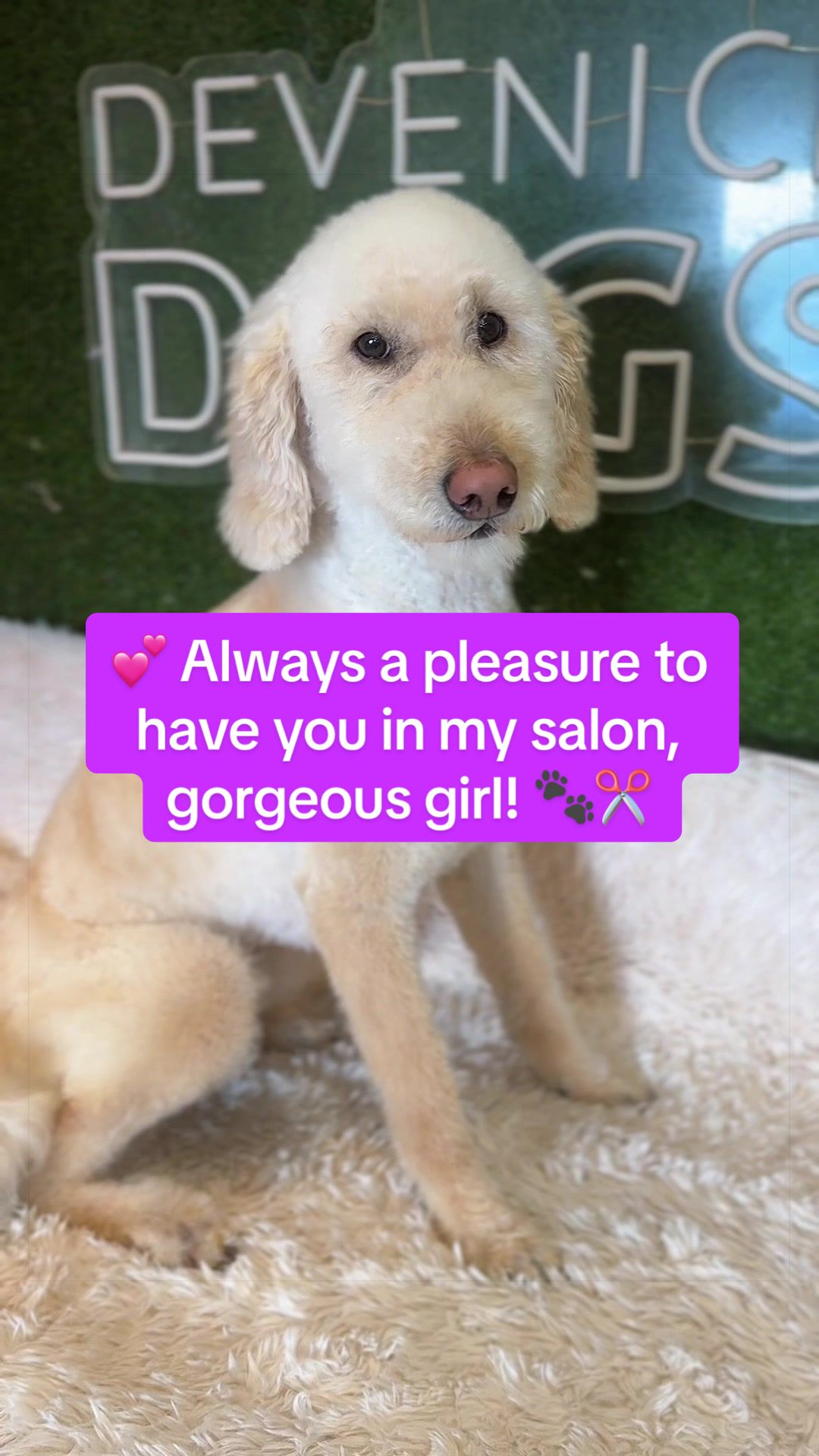 @DevenickDogs