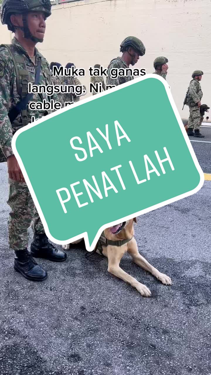 @Hafiz Shahriman