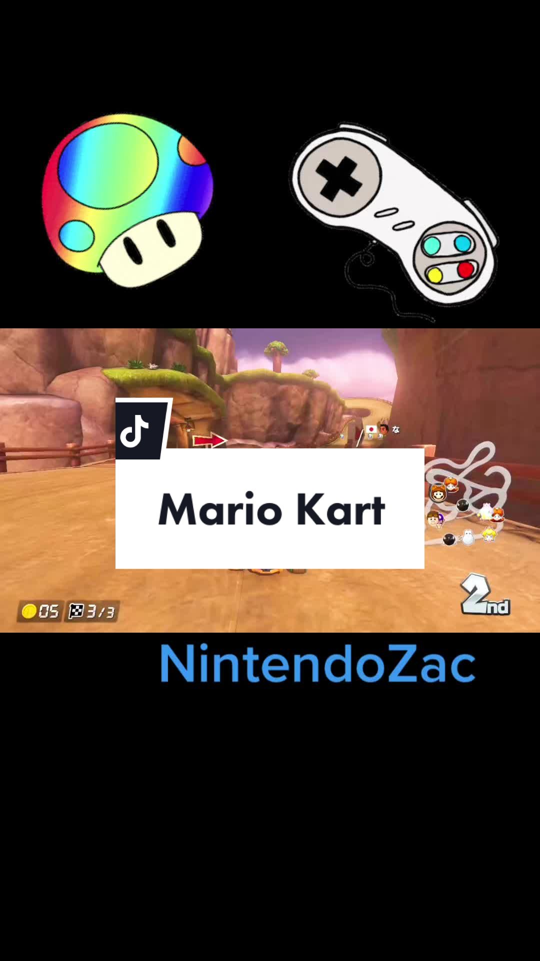 @NintendoZac