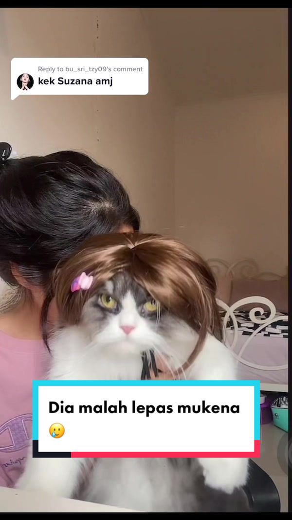 @Kimmy Kun