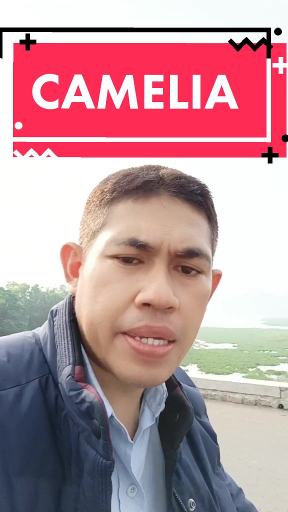 @𝐀𝐫𝐢_𝐂𝐢𝐚