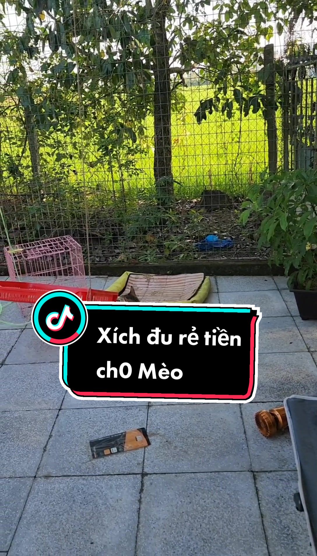 @Khế th&uacute;i