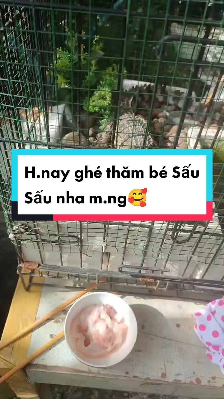 @Nhi Nguyễn Betta