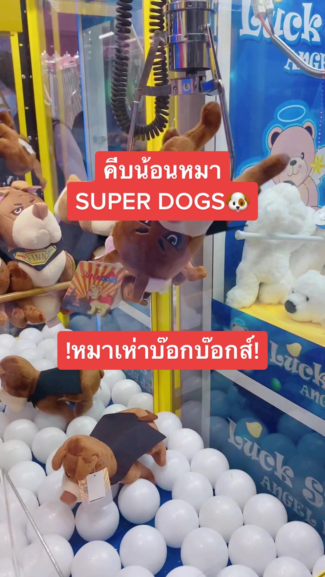 @นายคีบคุง