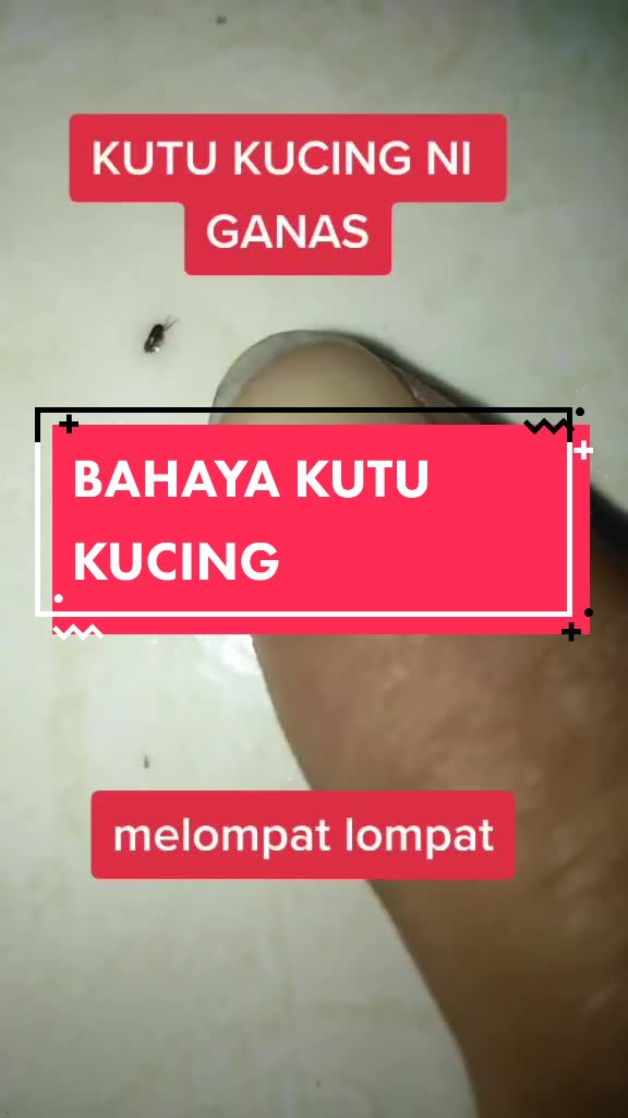 @MALAGHAZALI