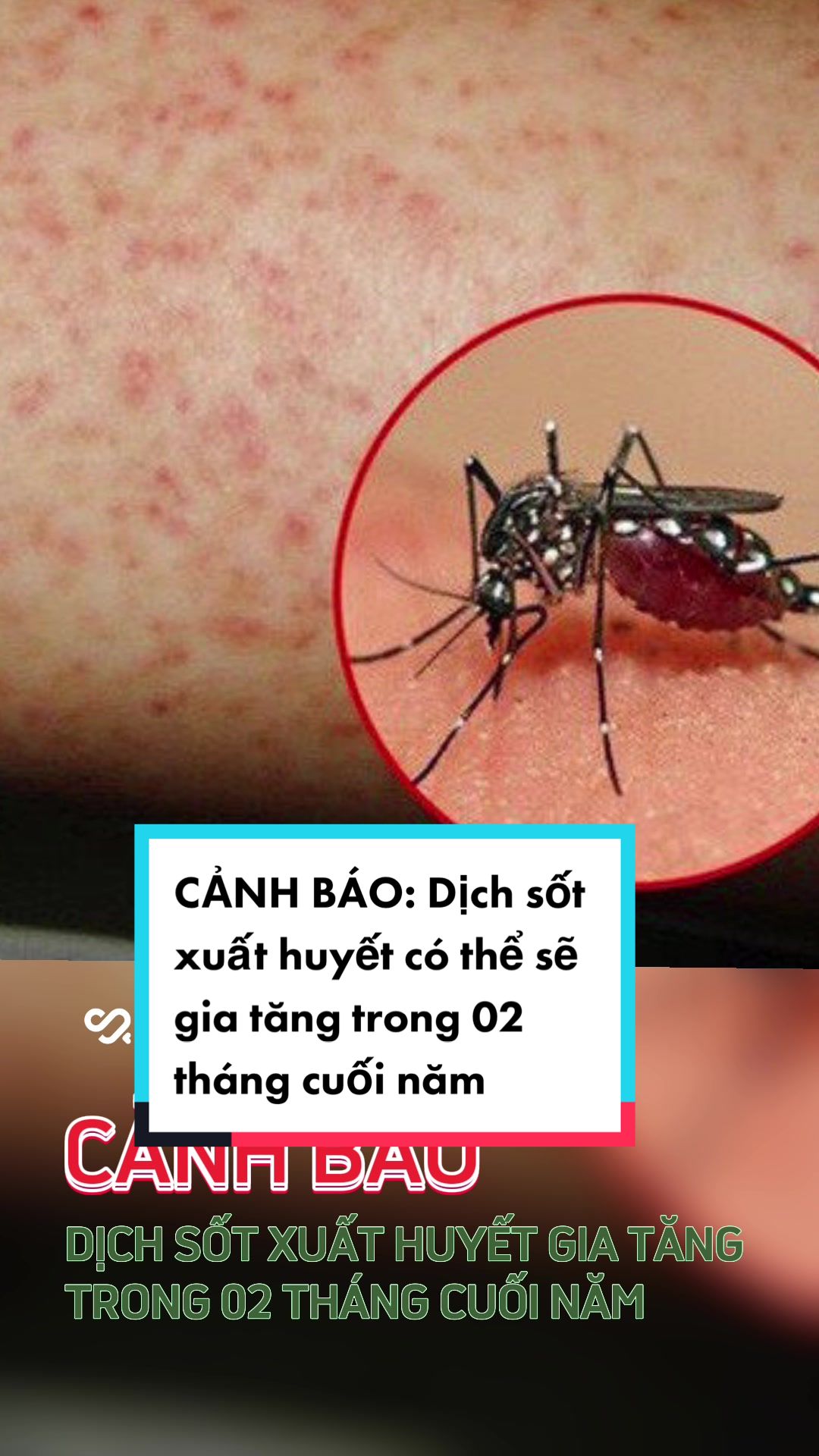 @HEALTHSK
