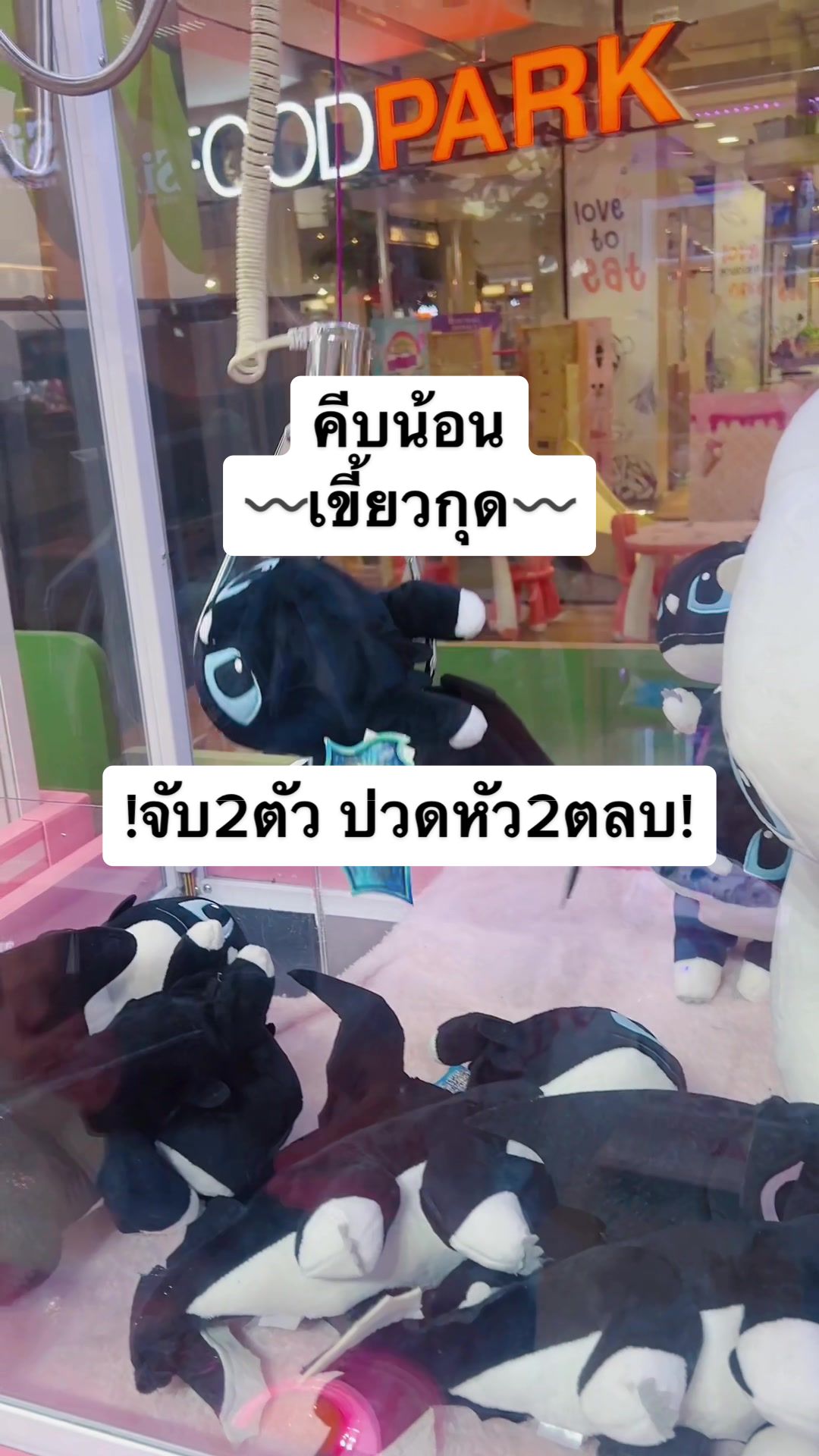 @นายคีบคุง