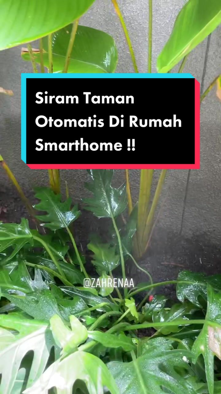 @zahrenaa