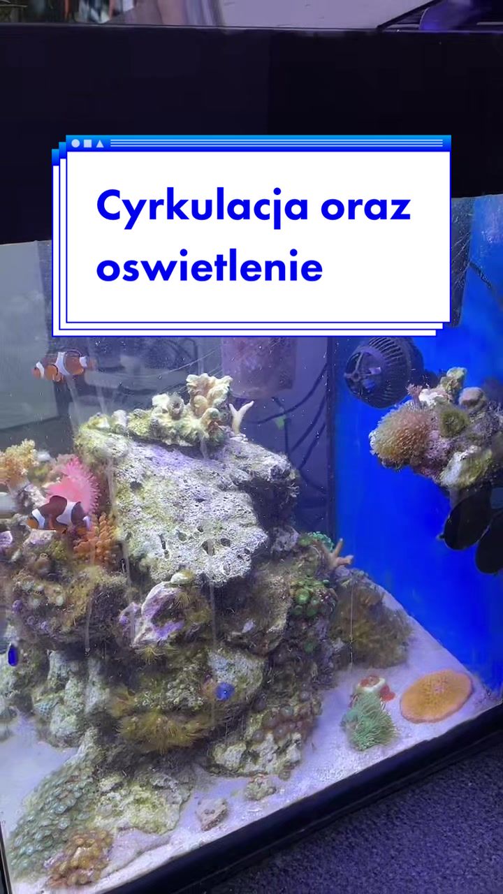 @Aquarista