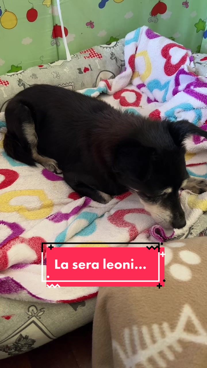 @Giacomina, la vecchia!!