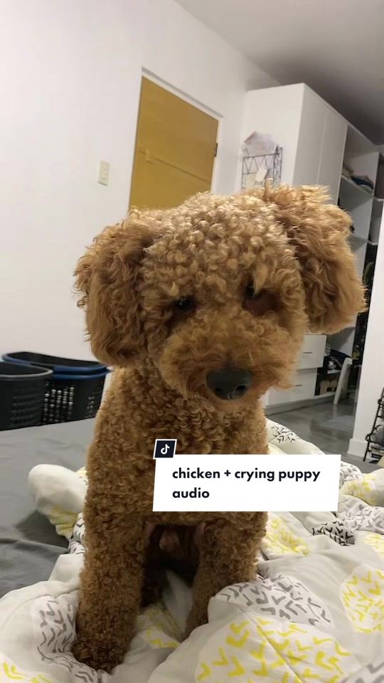 @AJ