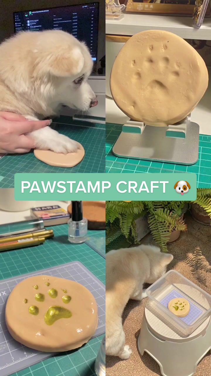@Fluffy Creamy Dog
