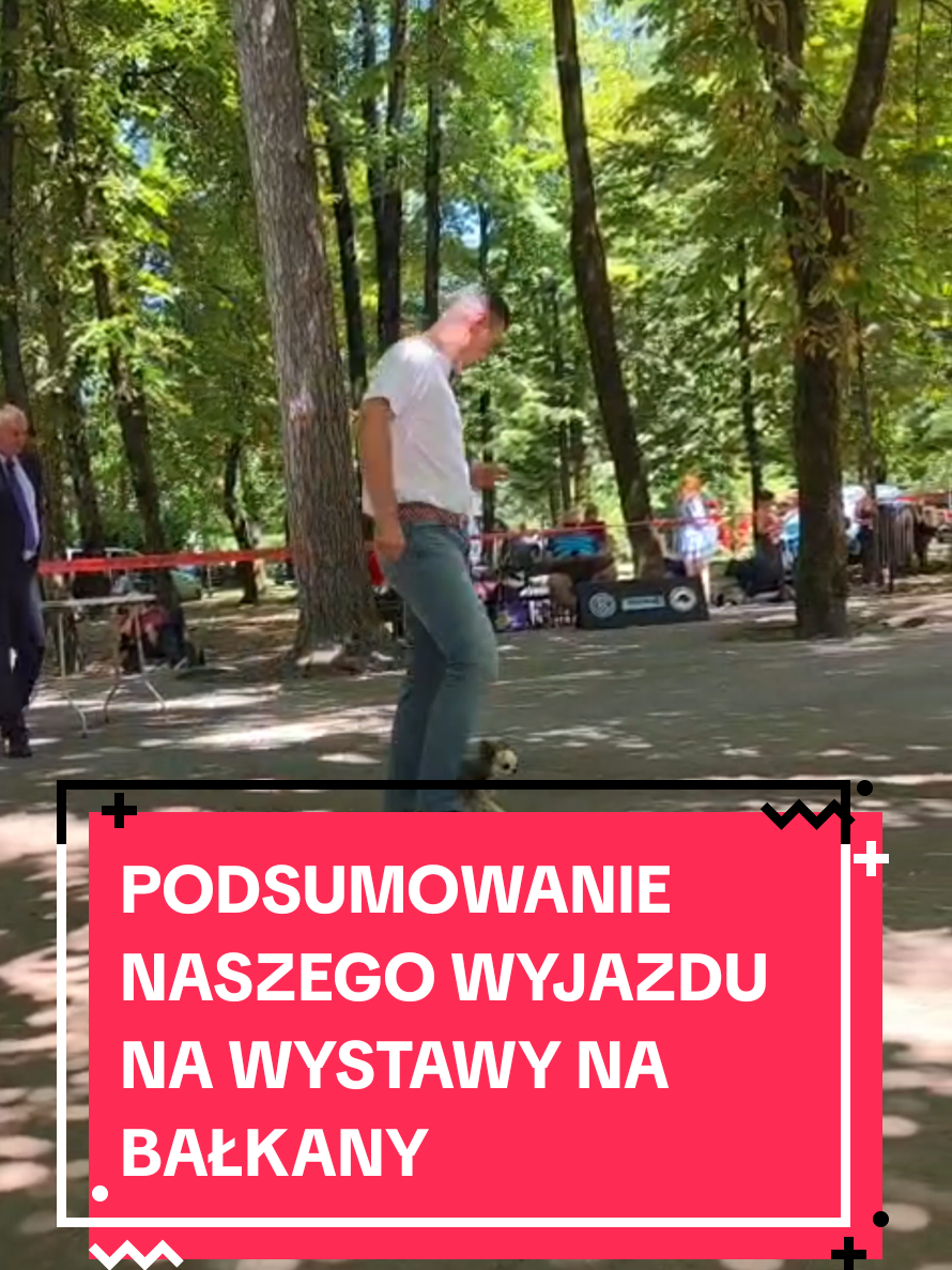 @Chihuahua uzależnia
