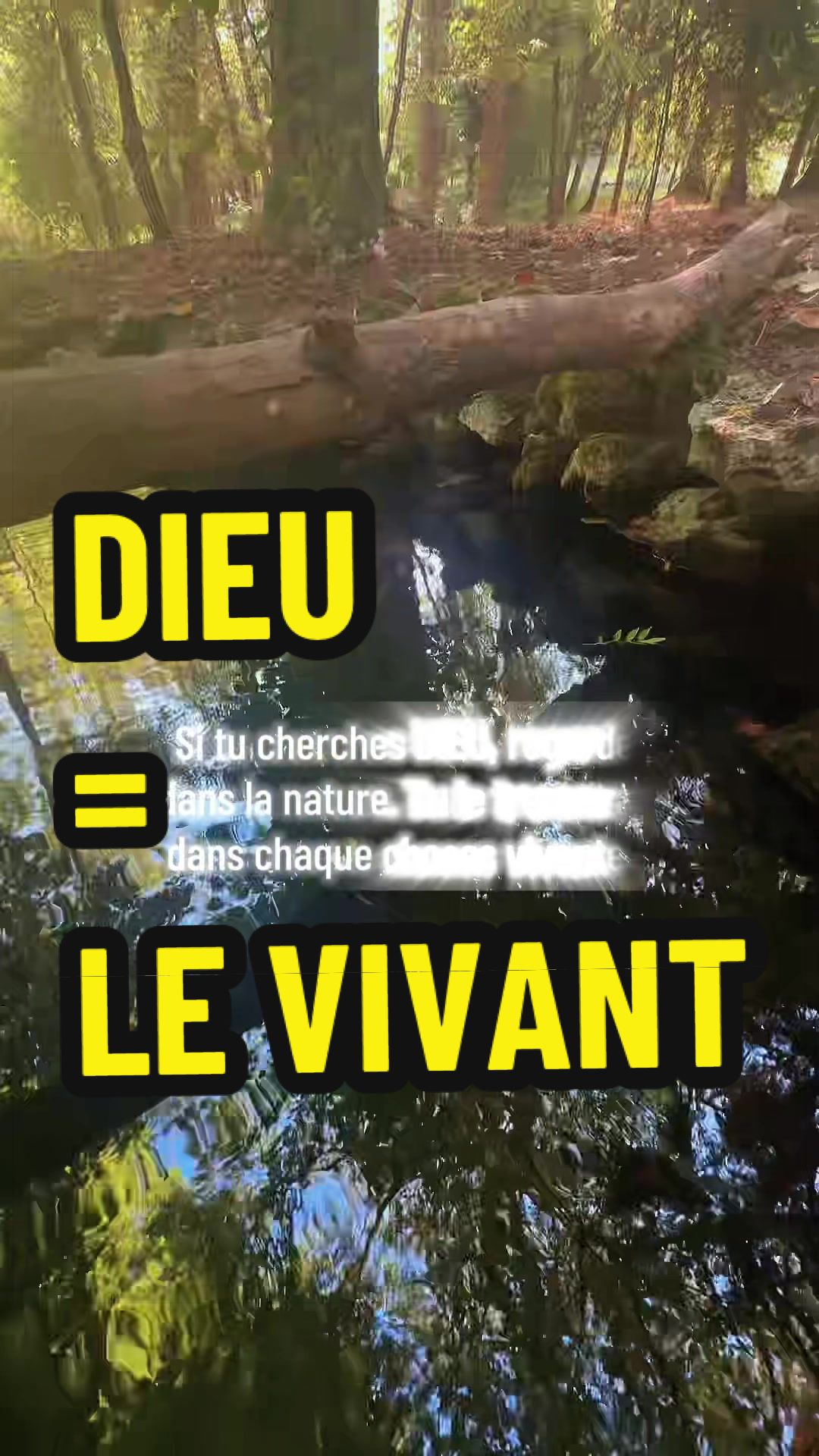 @SALAMAN LE GRIOT