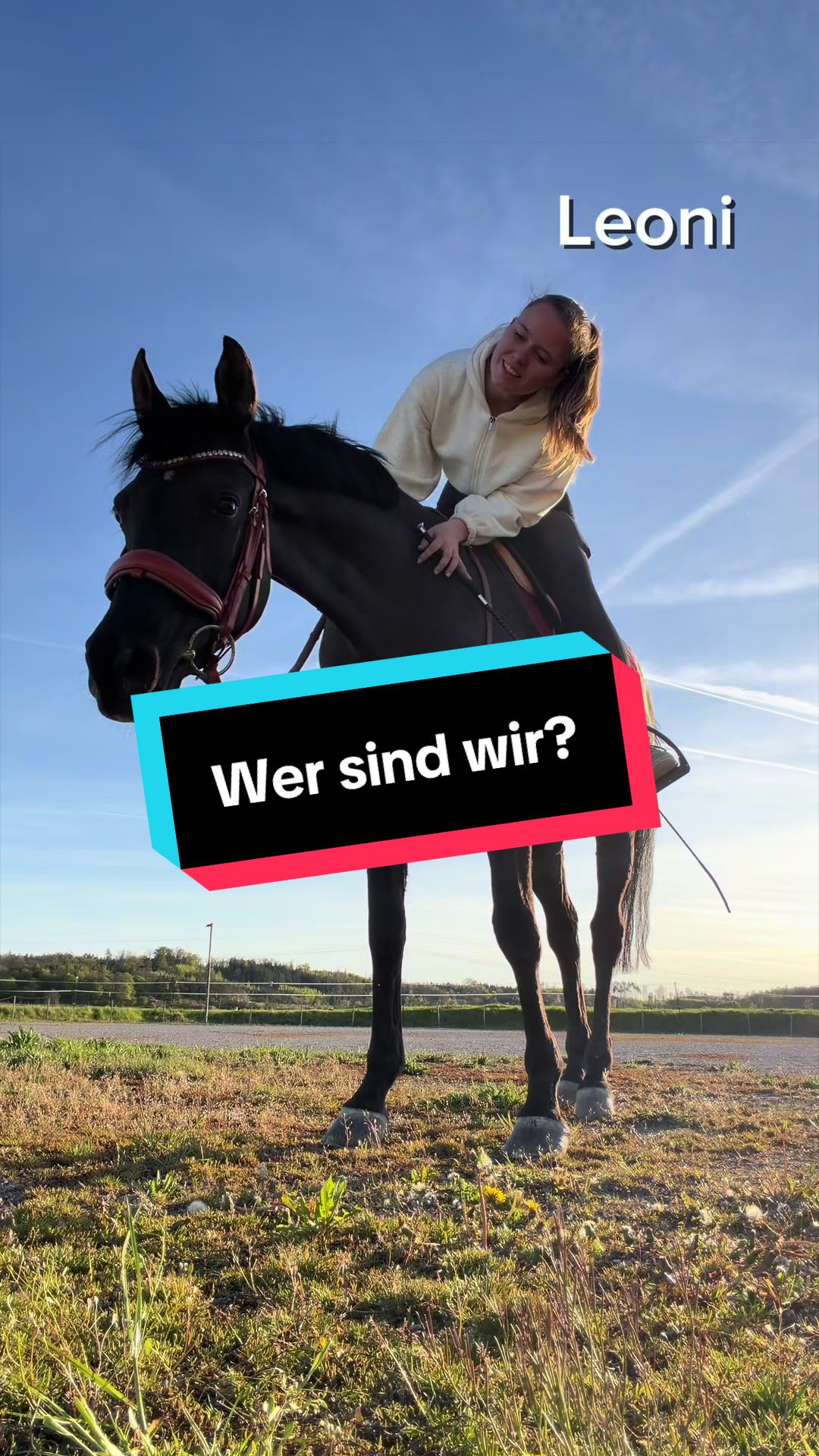 @Letynnxhorses