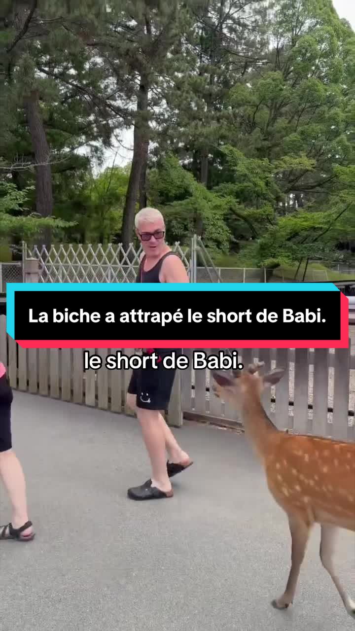 @BabiJay