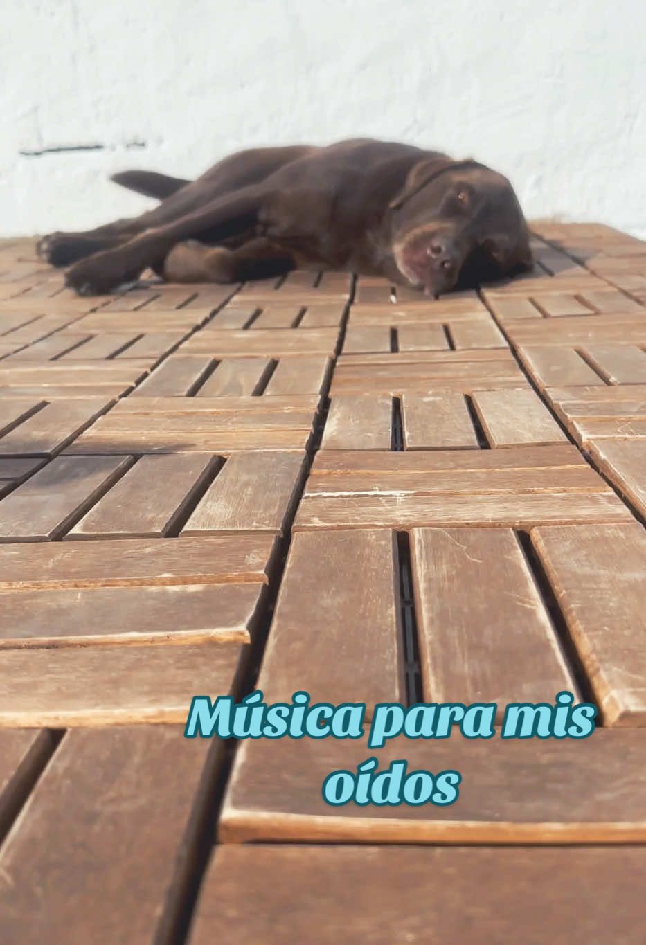 @Dos bombones