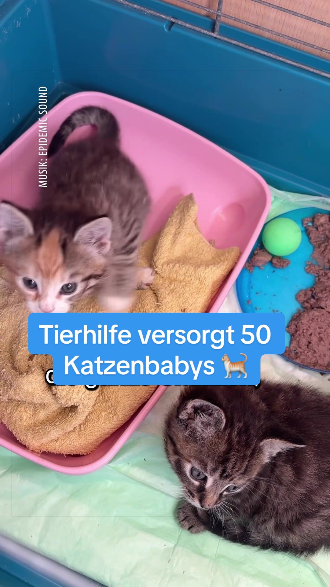 @Ostfriesen-Zeitung 🗞️