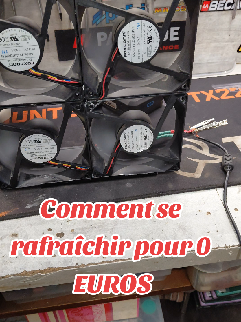 @fifiby
