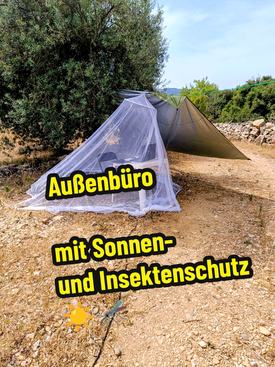 @berndout