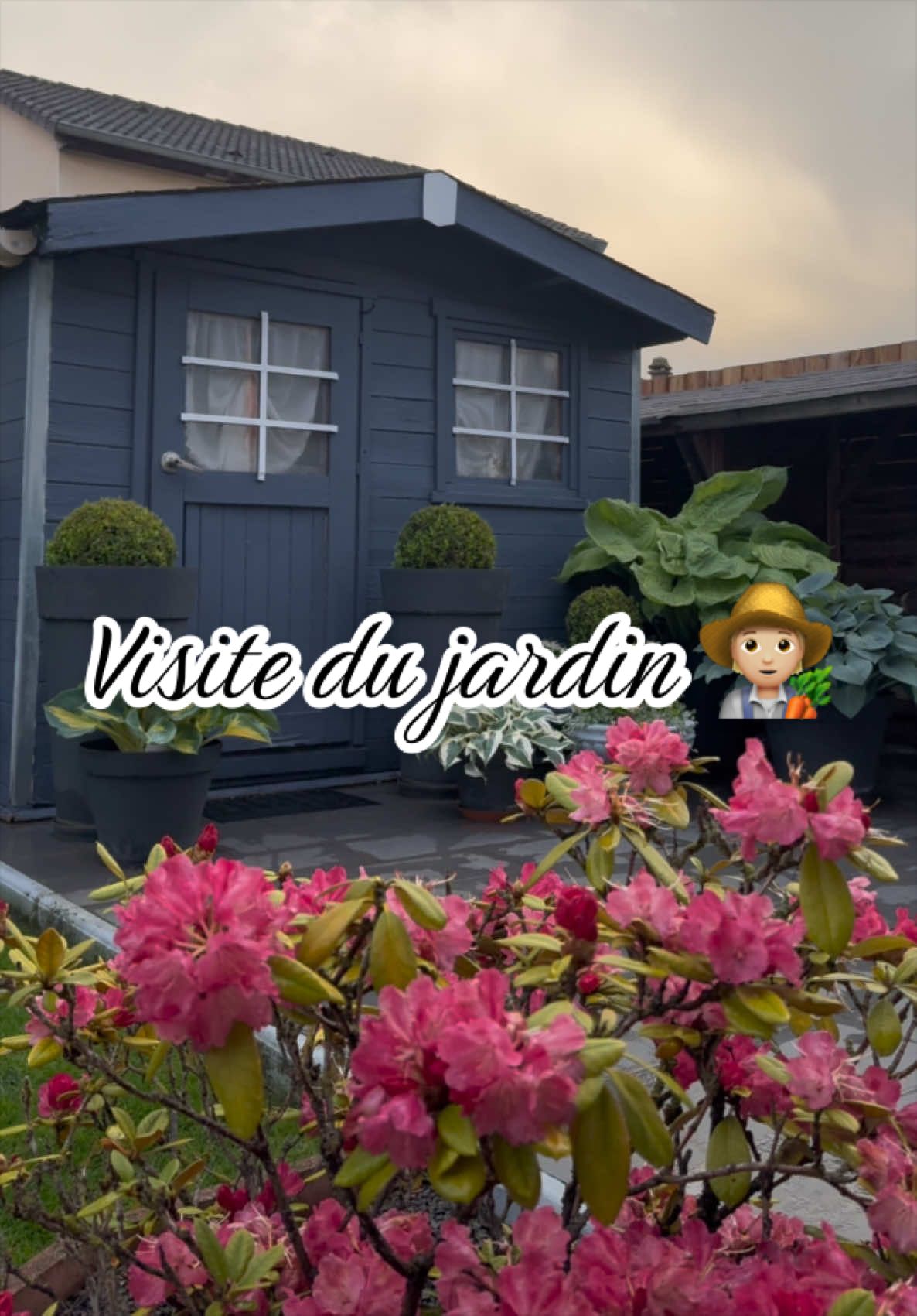 @Jardin de Rémi