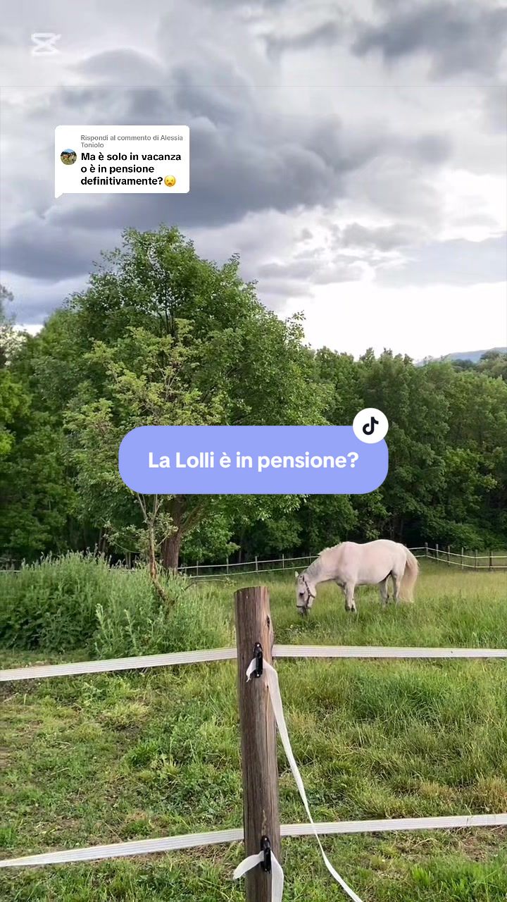 @equestrian_ale