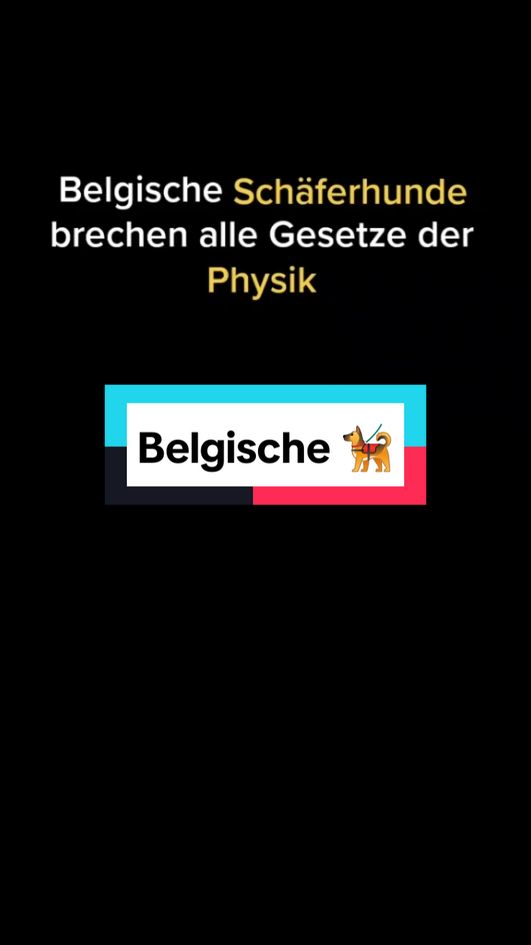 @@TeddyBärchen