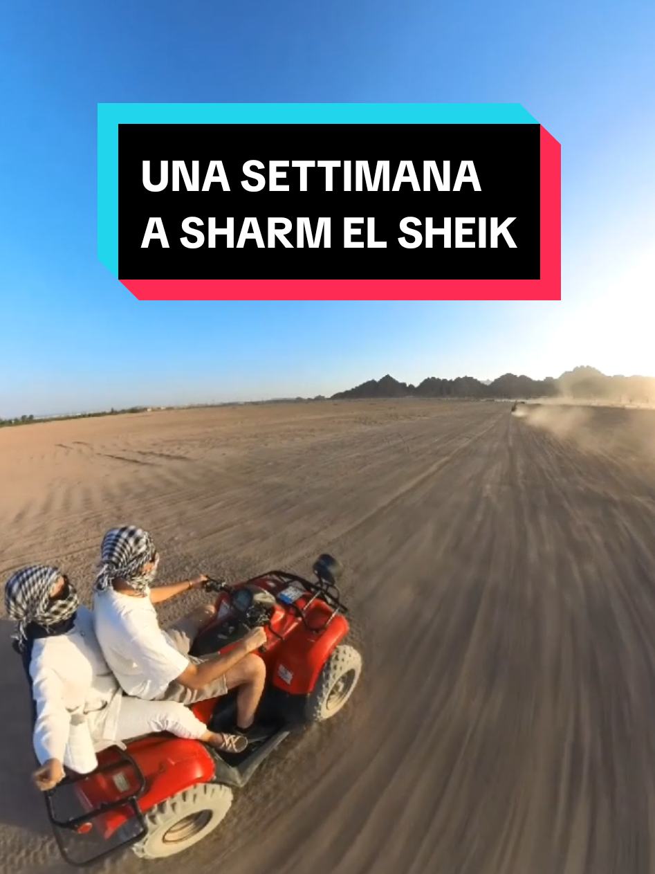 @Agenzia per Amica Casoria