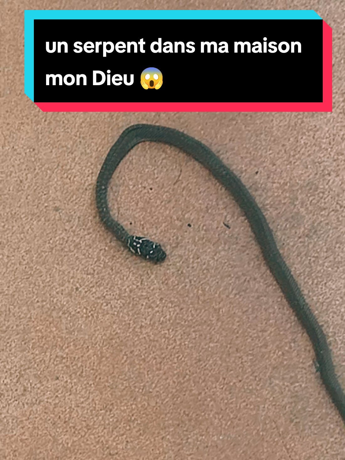 @la page de mamanchi